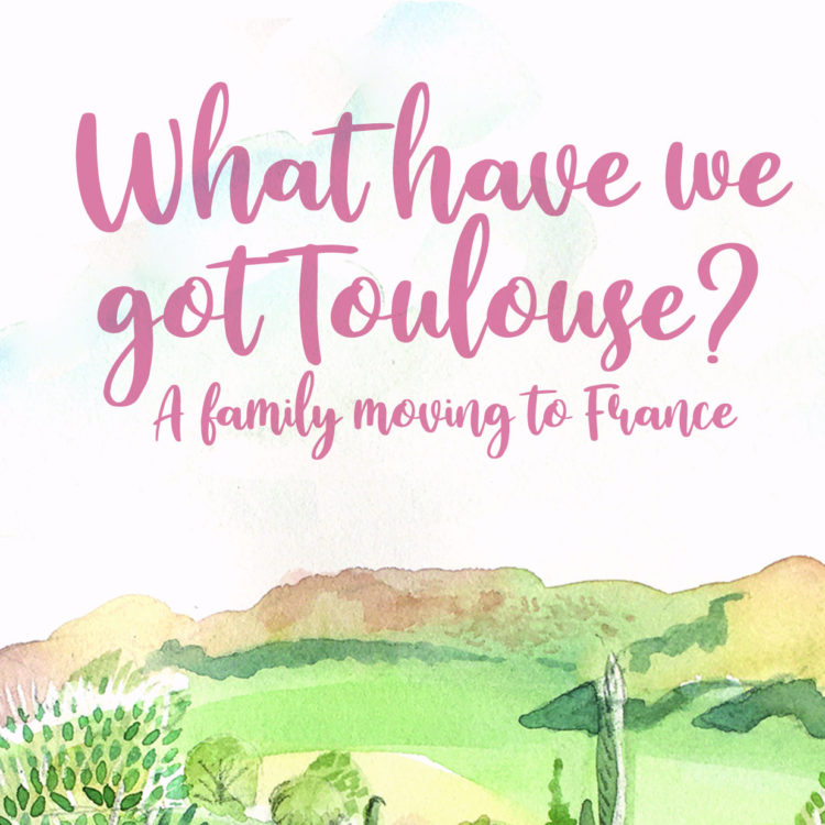 What Have we Got Toulouse | A Mother in France